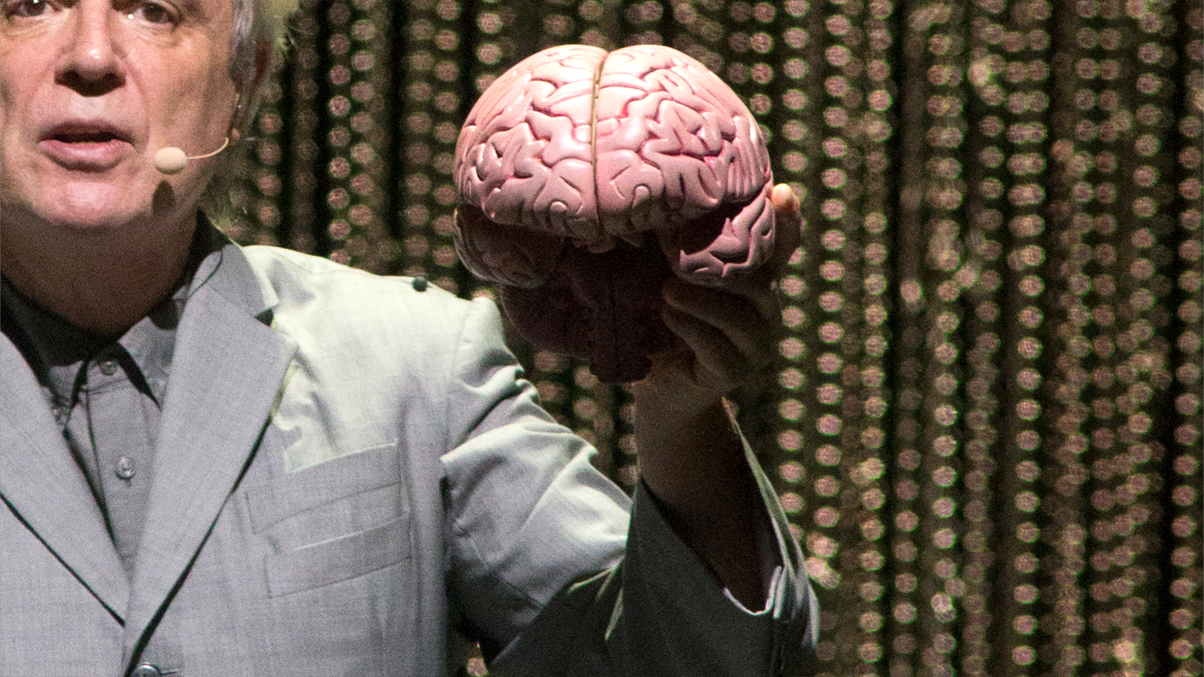 الذاكرة لا تَنسى.. دراسة علمية تعيد الذكريات "المفقودة"