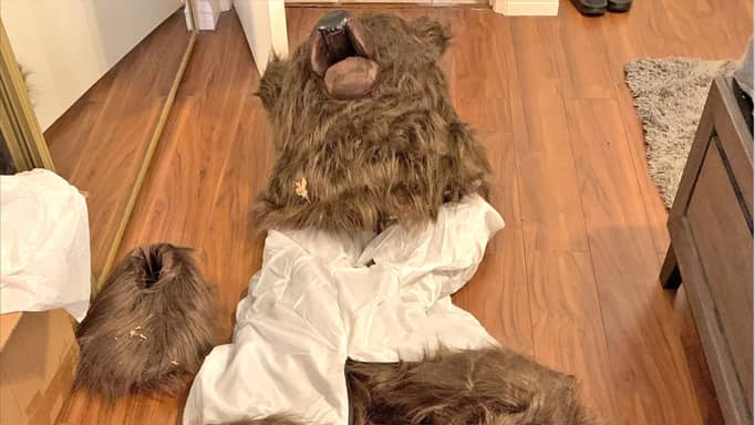 "الدب الغاضب".. أحدث محاولات الاحتيال على شركات التأمين