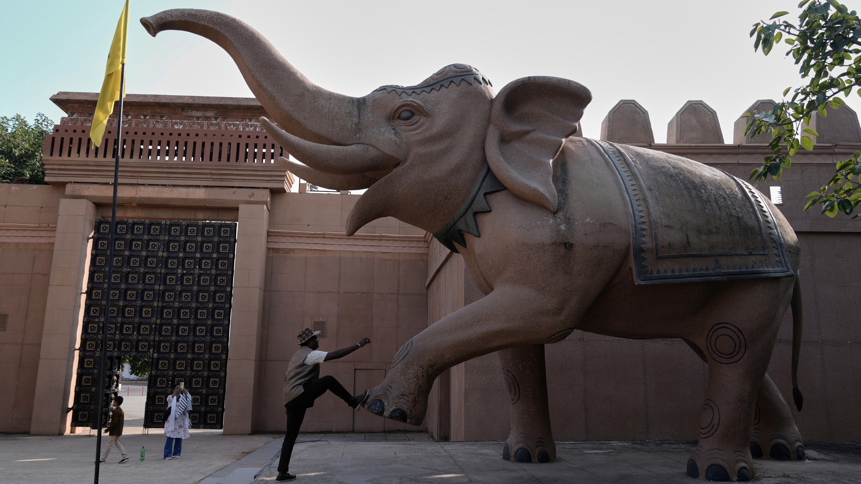 لغز "إهدار الطاقة".. لماذا تعيش بعض الكائنات لفترات أطول؟