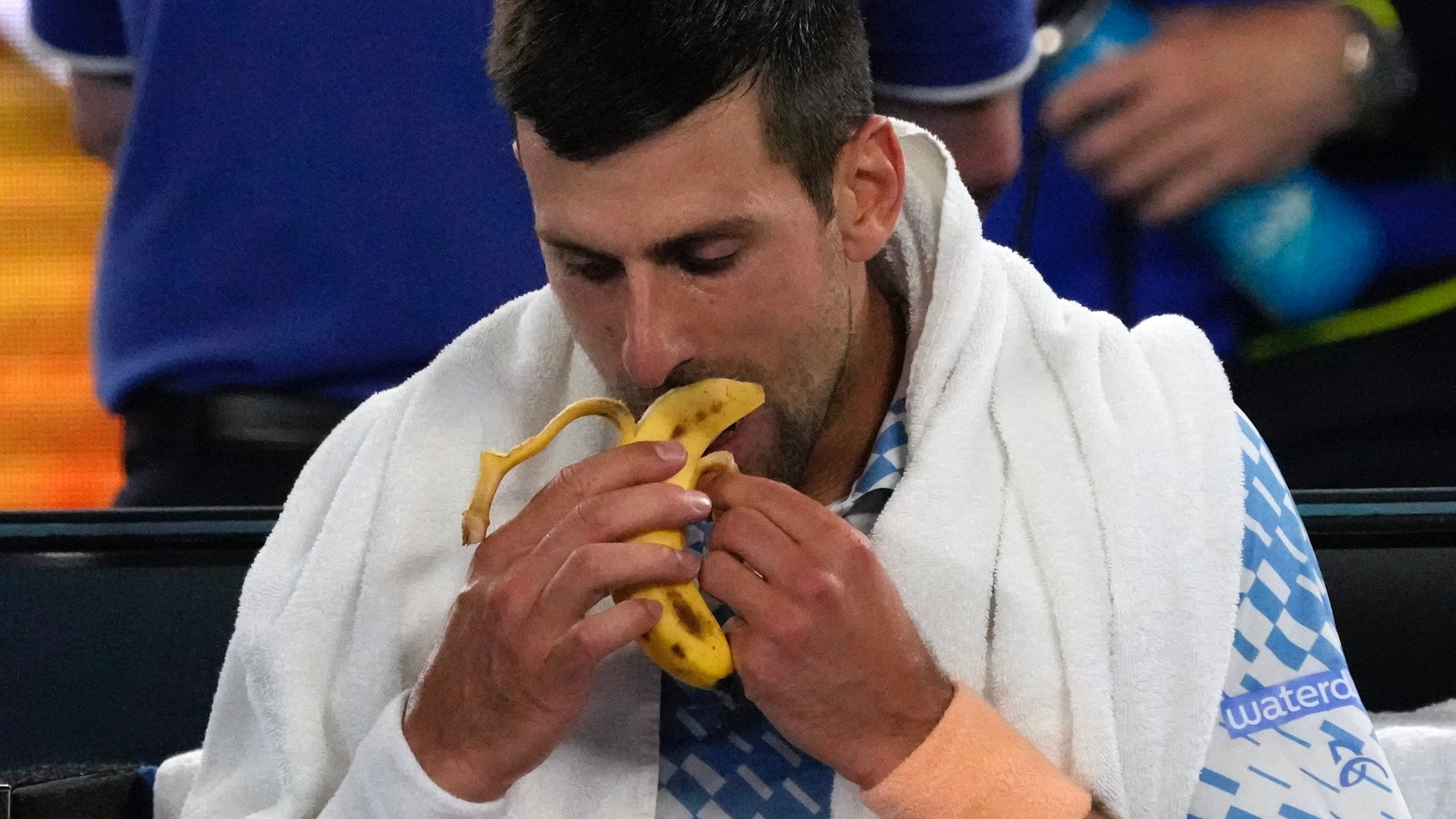 "دايت دجوكوفيتش".. 4 فوائد لاتباع نظام نباتي