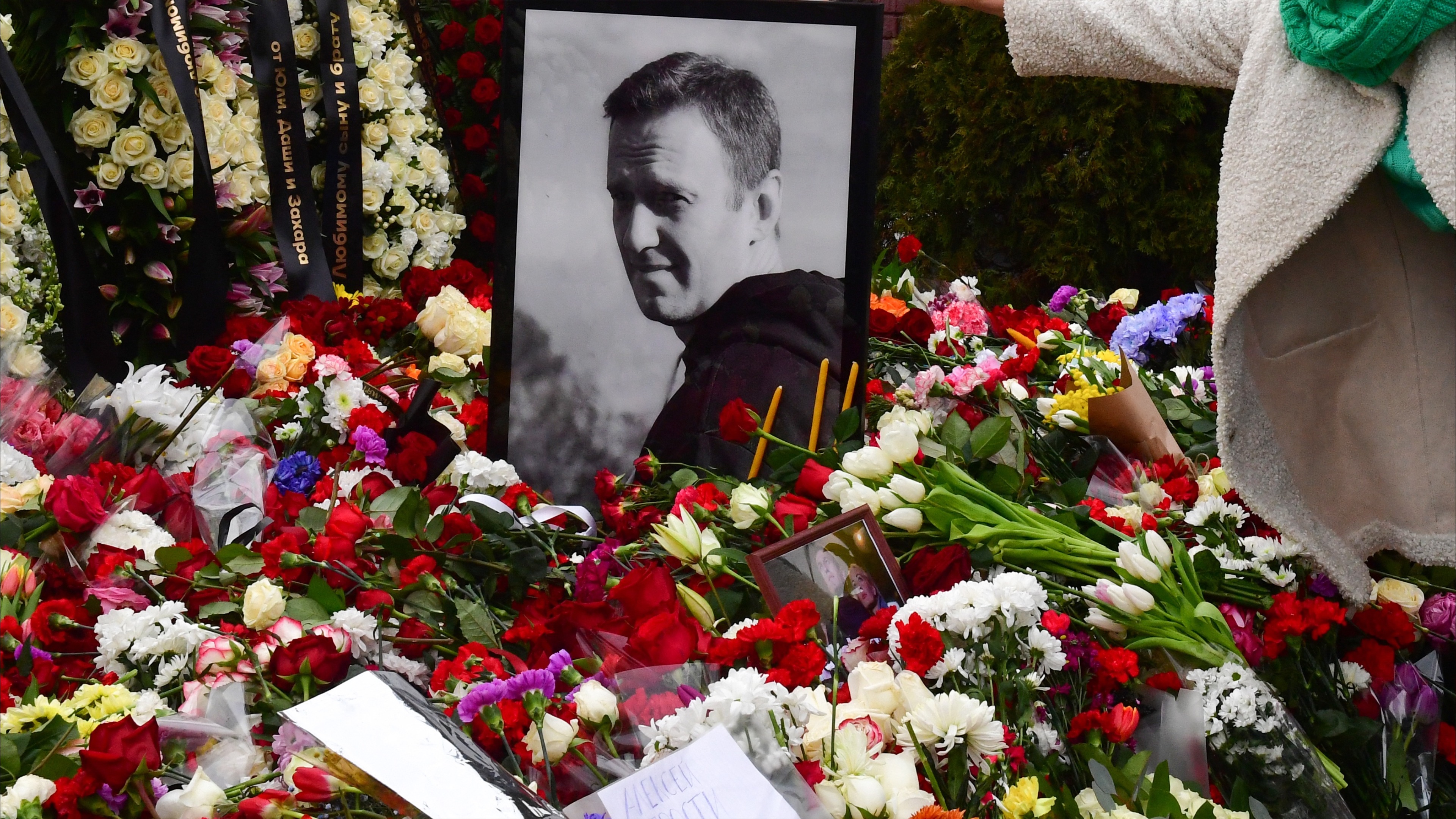 من السم إلى الغاز.. تعددت أساليب الاغتيال الروسي والموت واحد