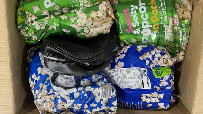 افتح العلبة تجد "سحلية".. فشار بالزواحف يسجن أستراليا 8 سنوات