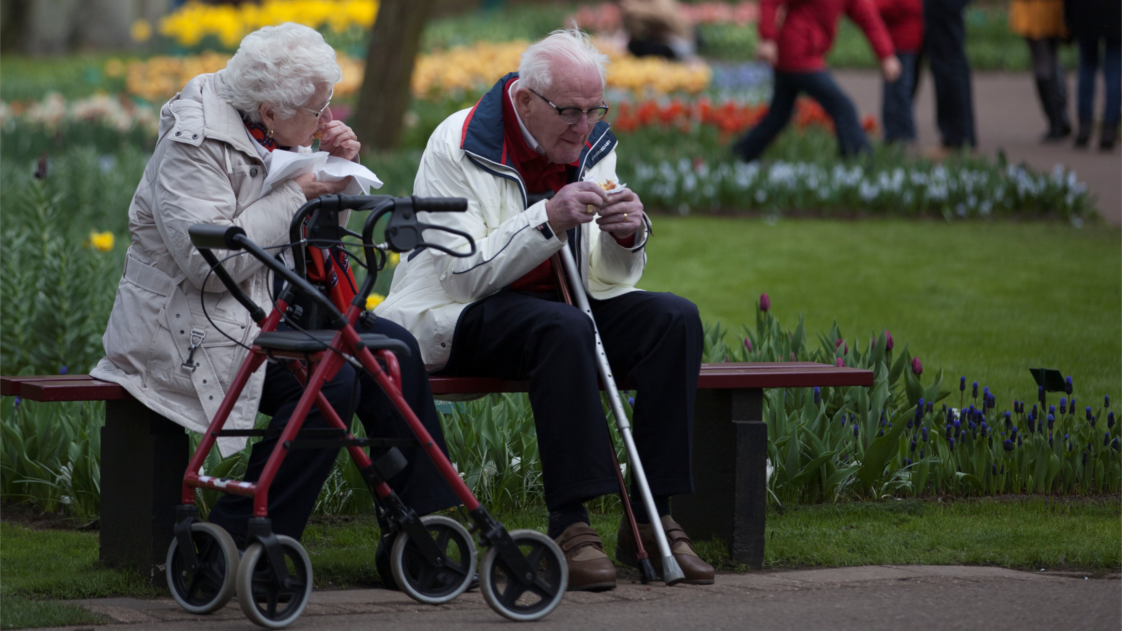 أزمة التقاعد بأوروبا… شيخوخة متسارعة تُنهك سخاء المعاشات