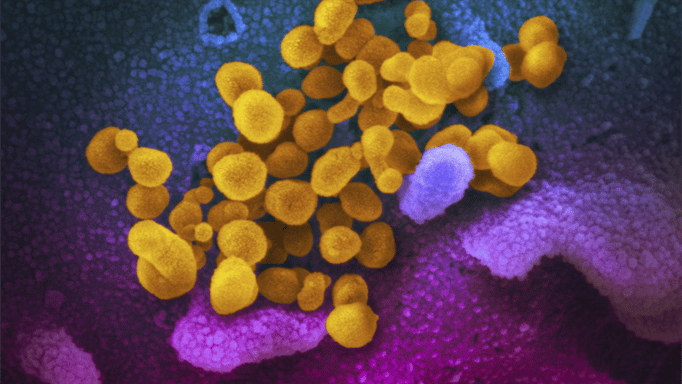 بكتيريا عمرها 5 آلاف عام تحير العلماء.. مفتاح للأمل أو خطر قاتل؟