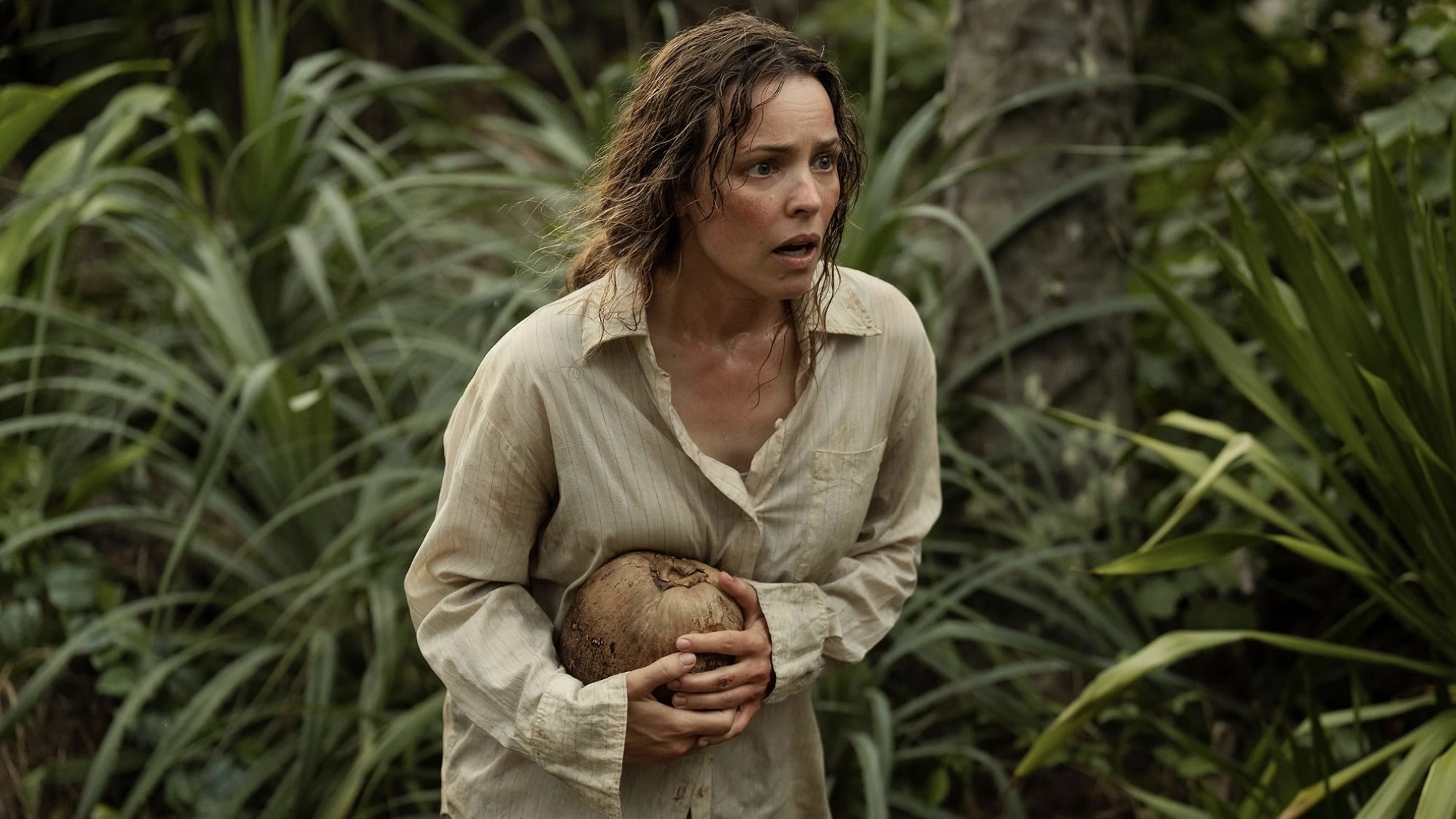 صرخة بـ10 ملايين دولار.. Send Help يسيطر على شباك التذاكر