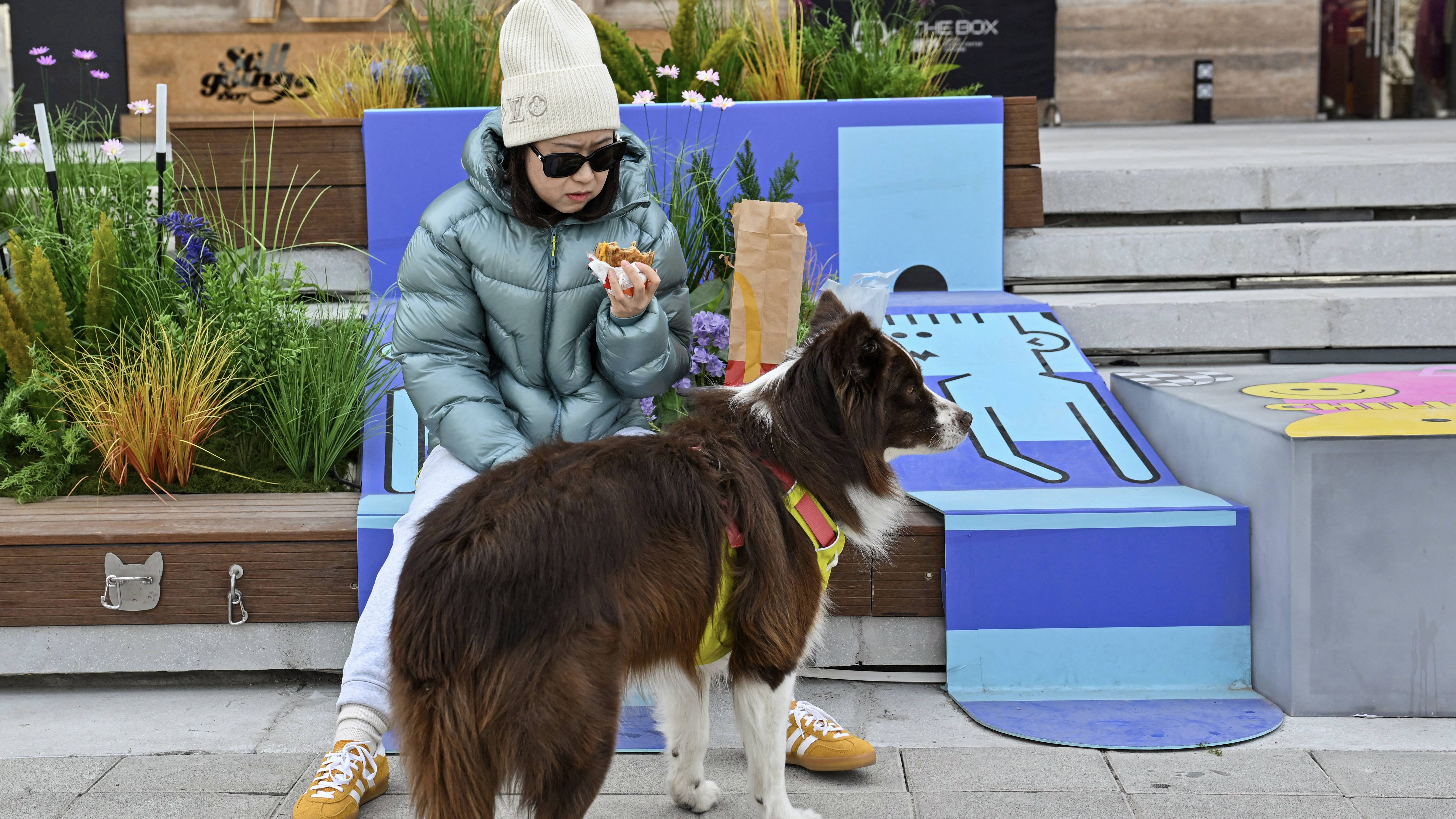 مأزق التنين.. لماذا فشلت إغراءات الصين في كسر "إضراب الأزواج"؟