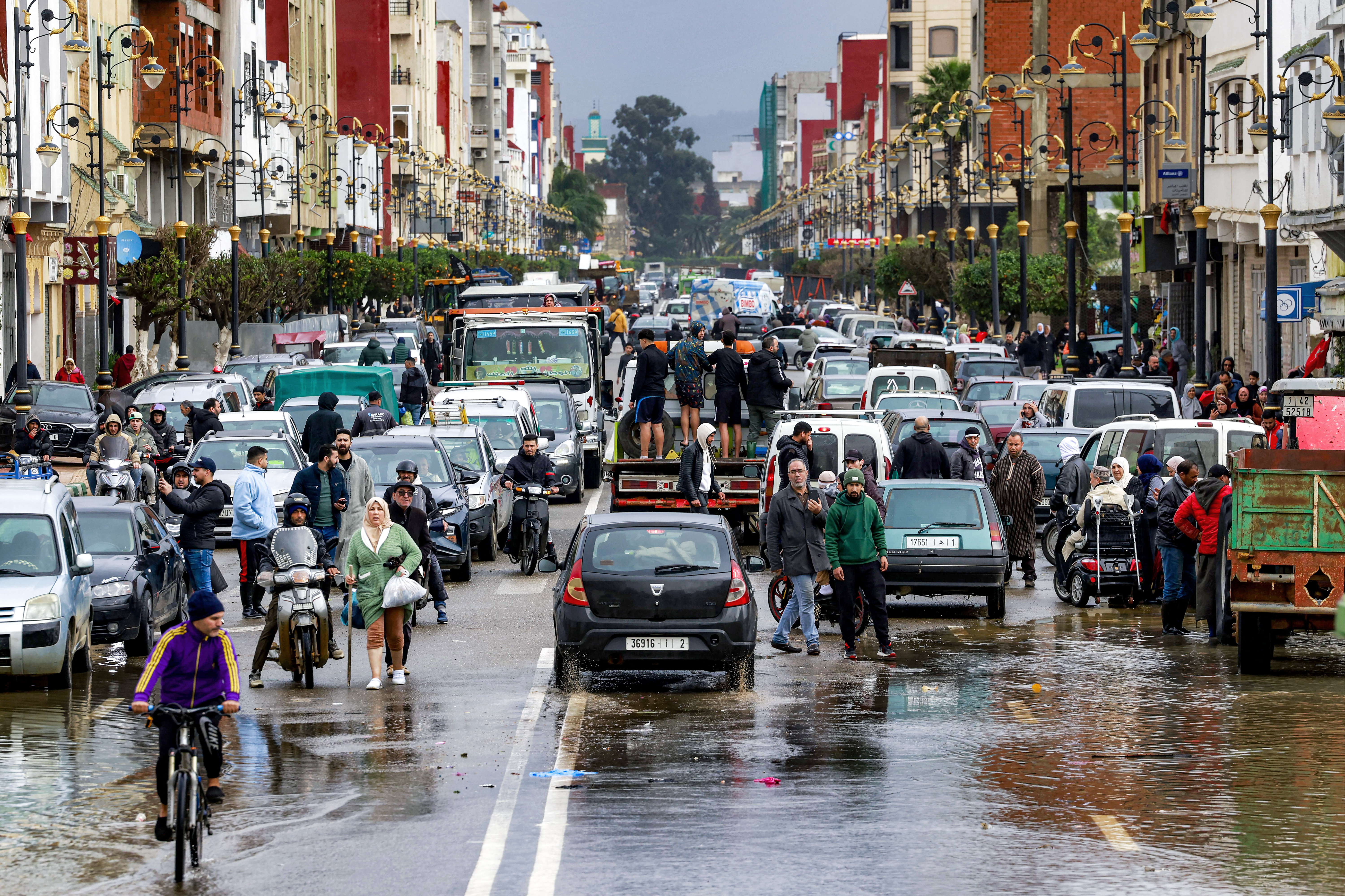بعد 7 سنوات جفاف.. الزراعة تزدهر في المغرب والأفوكادو يثير القلق