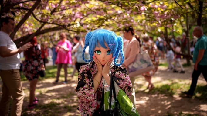 أغلى نزهة في اليابان.. كيف يضرب تضخم الأسعار "موسم الكرز"؟