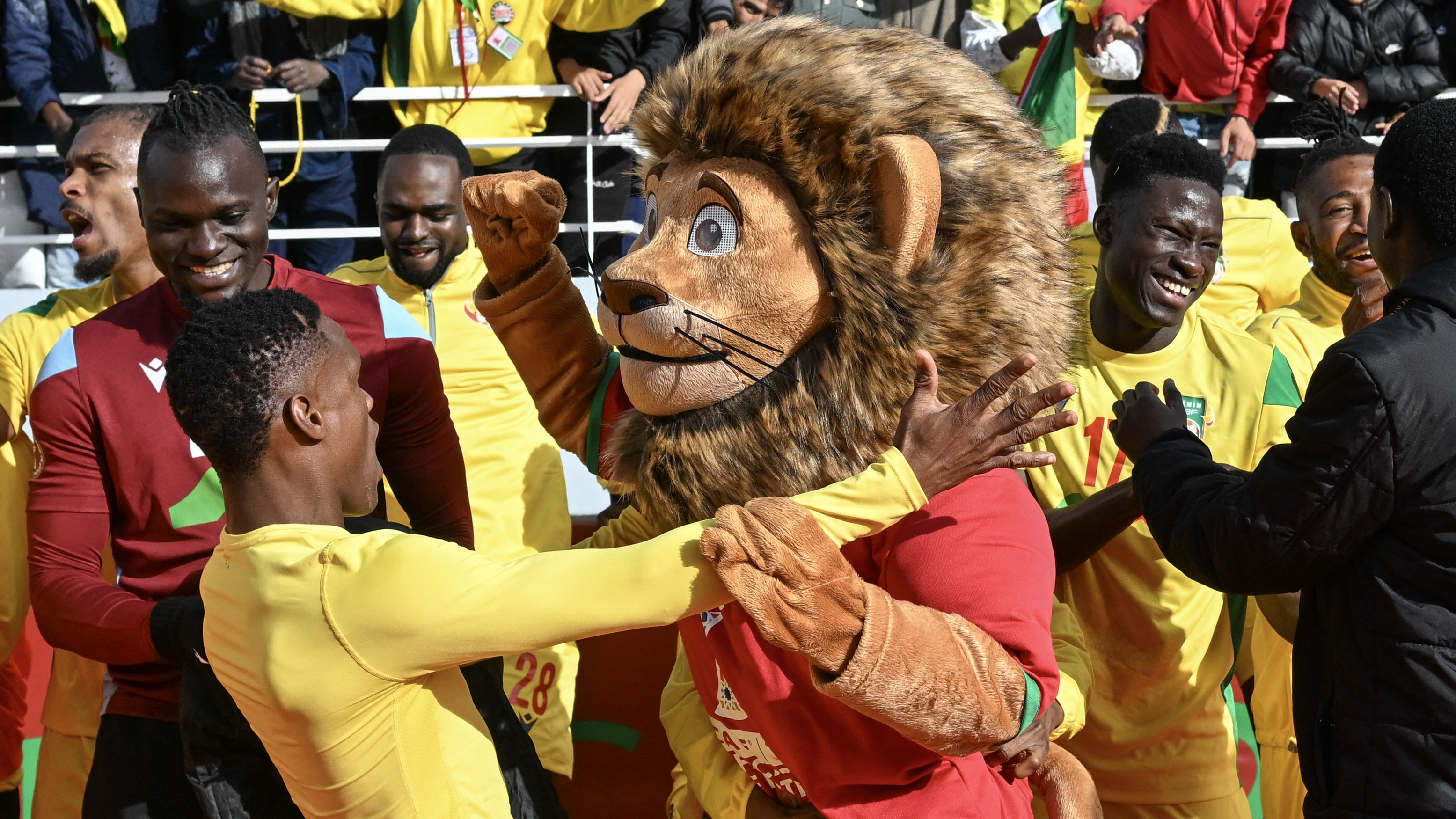 صدام "الأولاد" مع "الأسود".. مَن يصمد للنهاية؟