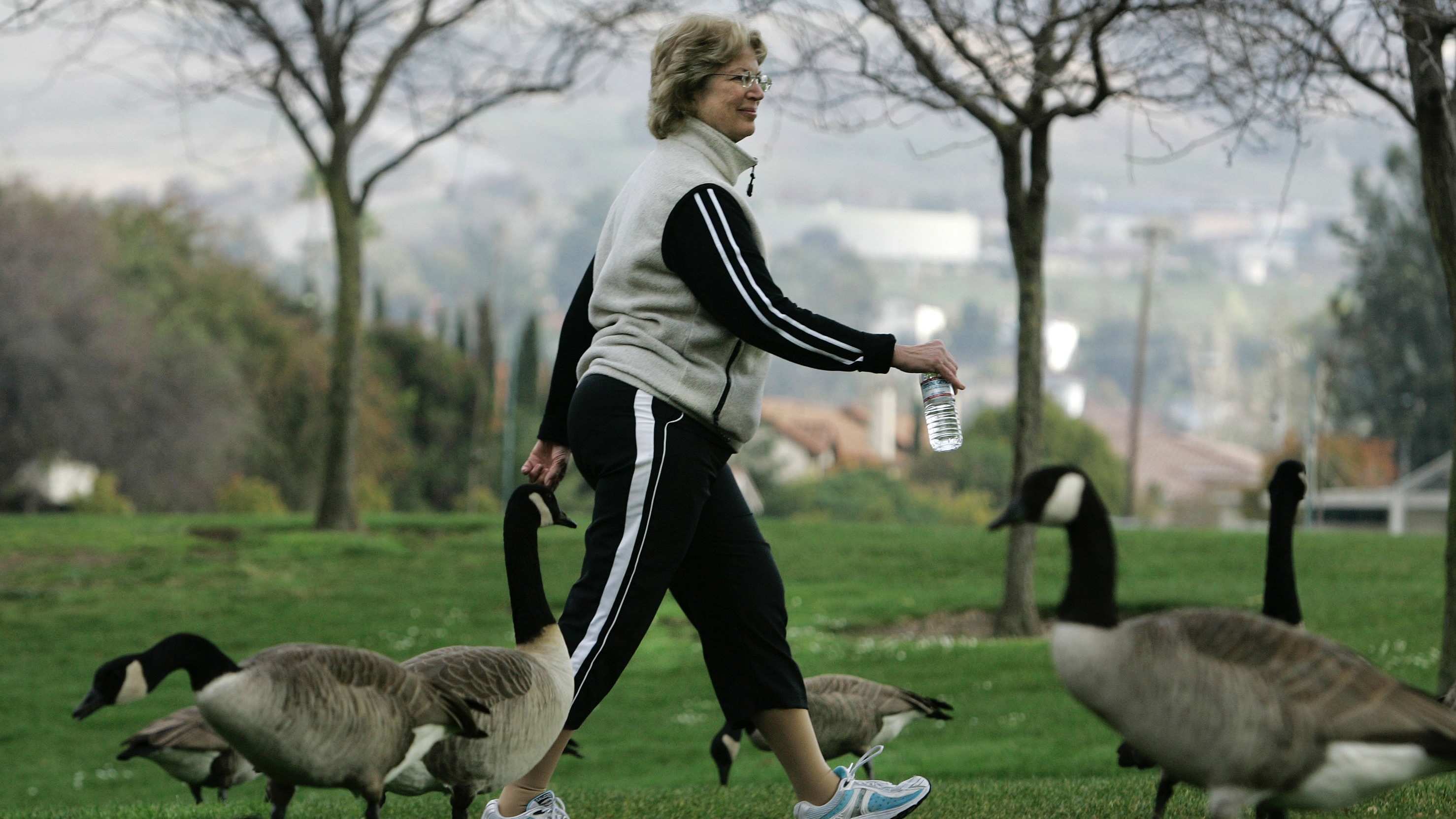 5 آلاف خطوة تهزم "آلزهايمر" بالضربة القاضية