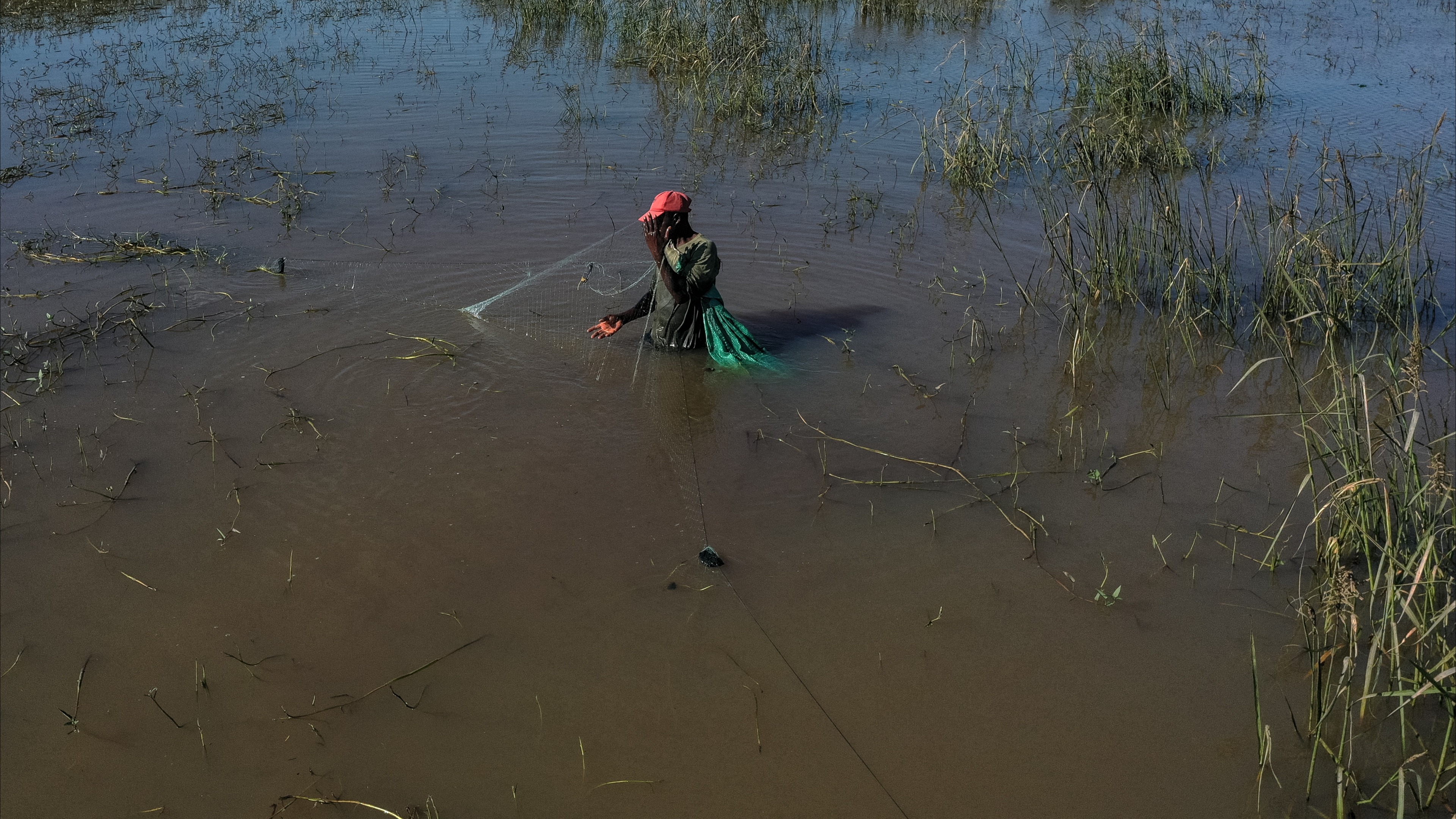 بسبب الفيضانات.. التماسيح بين المنازل في موزمبيق