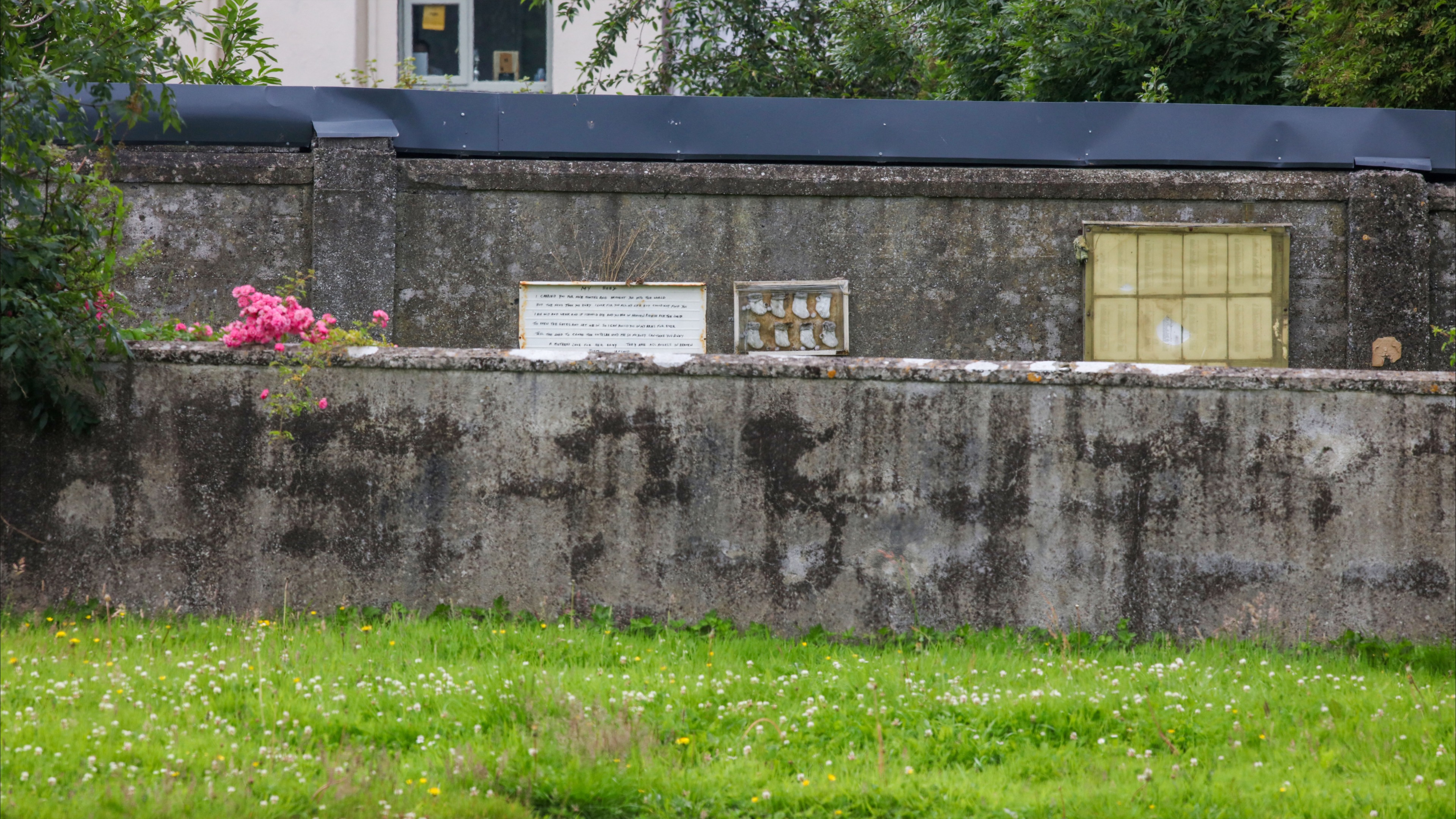 مقبرة جماعية بلا شواهد.. قصة رفات 800 طفل في توام الأيرلندية