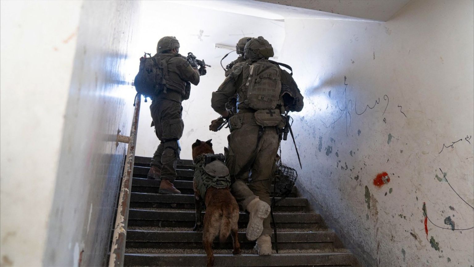 فئران عملاقة تهاجم جنود إسرائيل