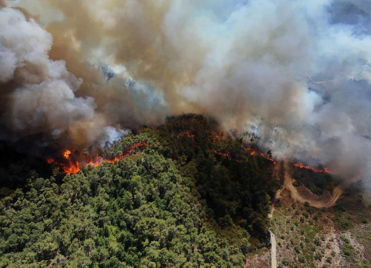 حريق ريف اللاذقية يهدد أكبر محمية غابات في سوريا