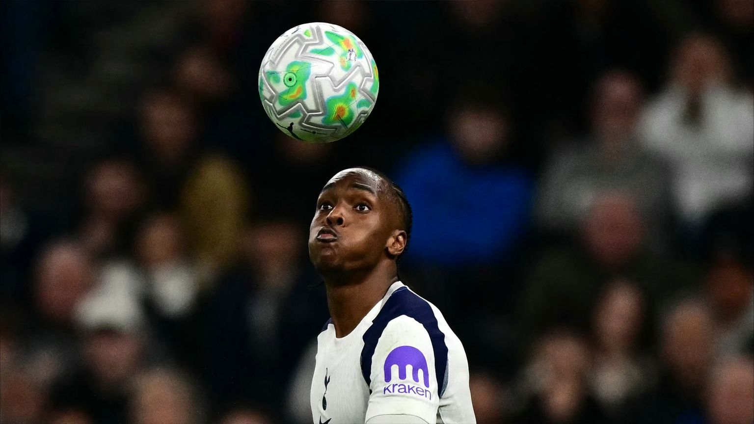 "حديقة حيوان".. تيل ينتقد البريميرليغ