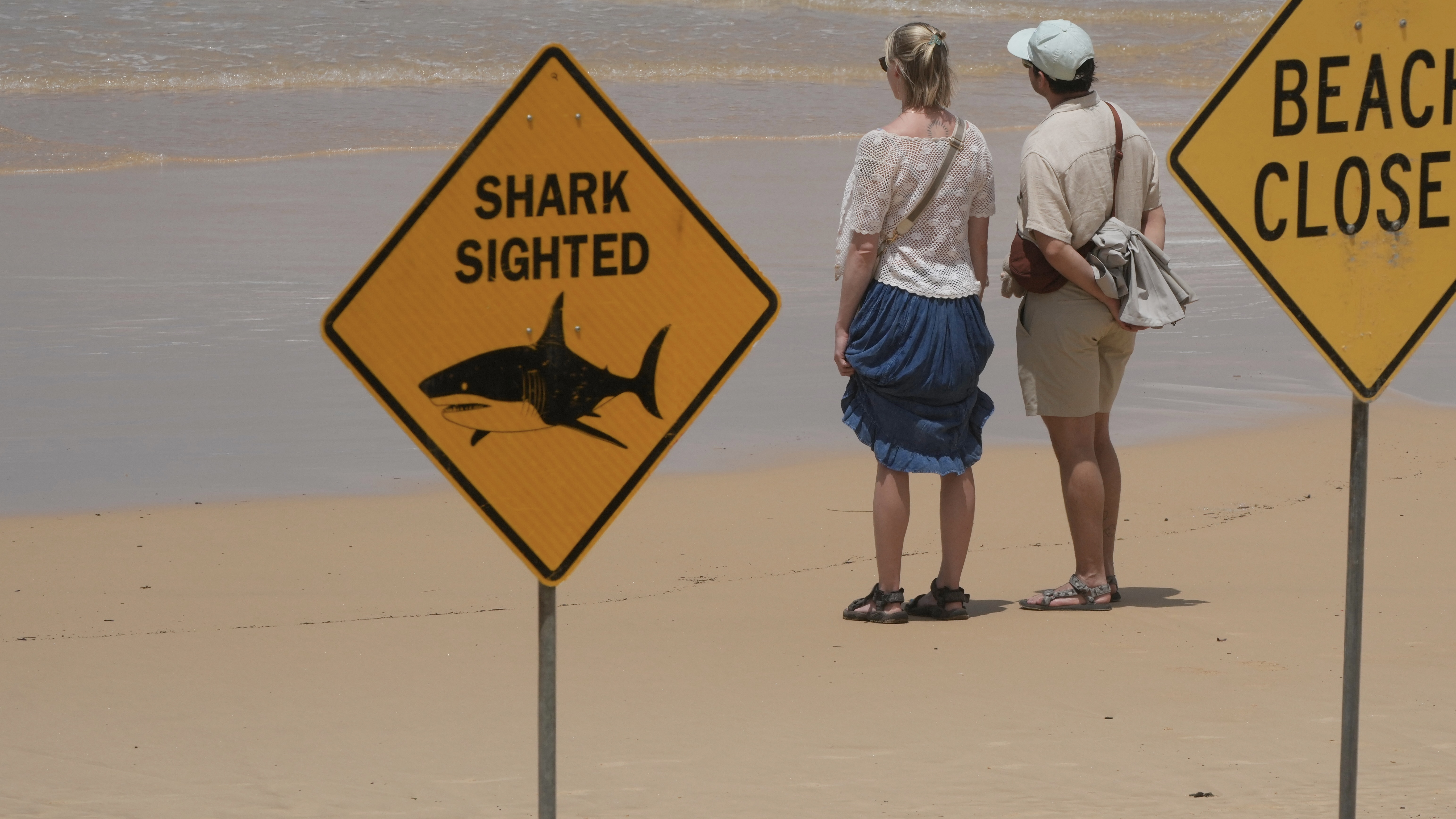 هجمات القرش المتتالية تُغلق شواطئ سيدني