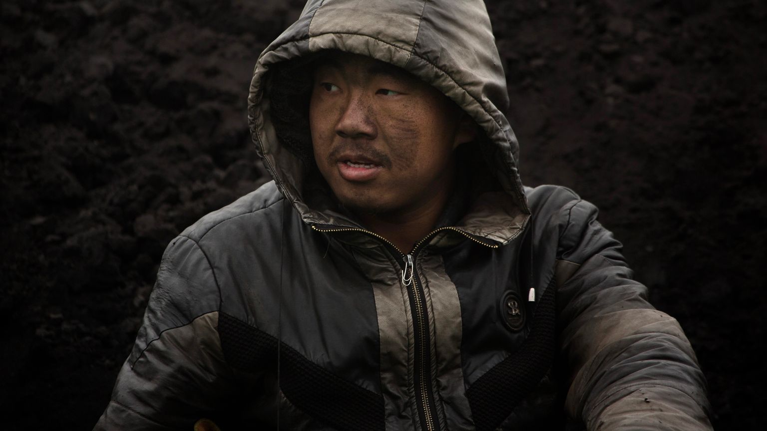 "الفحم الصيني" يحصد المليارات بسبب الحرب