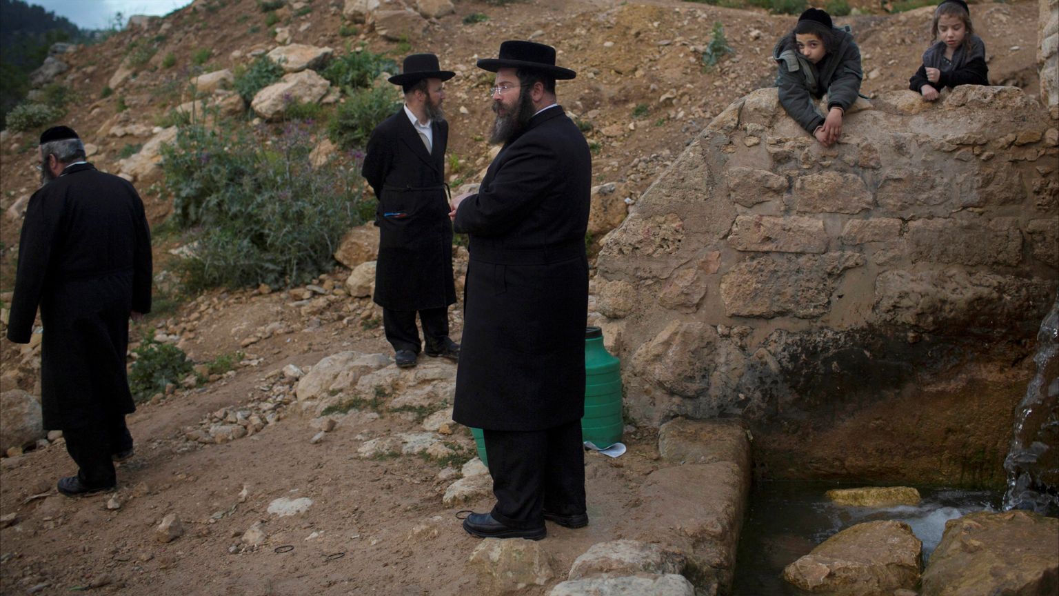 بقضبان حديدية وحجارة.. مستوطنون يعتدون على متطوعين بالضفة