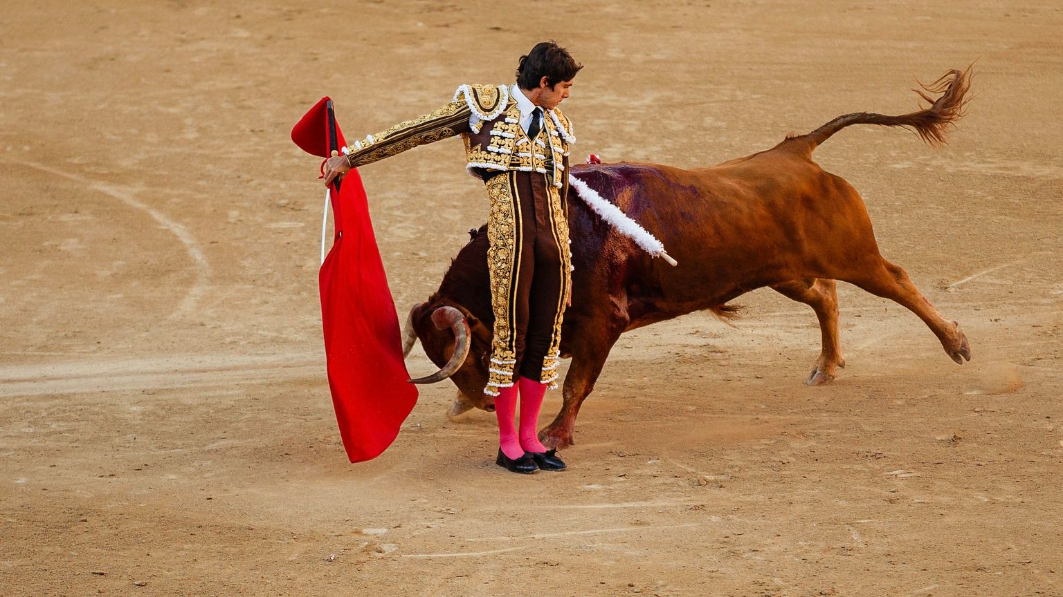 مفارقة "الماتادور".. قتله الثور قبل النِزال في "مدينة بيكاسو"