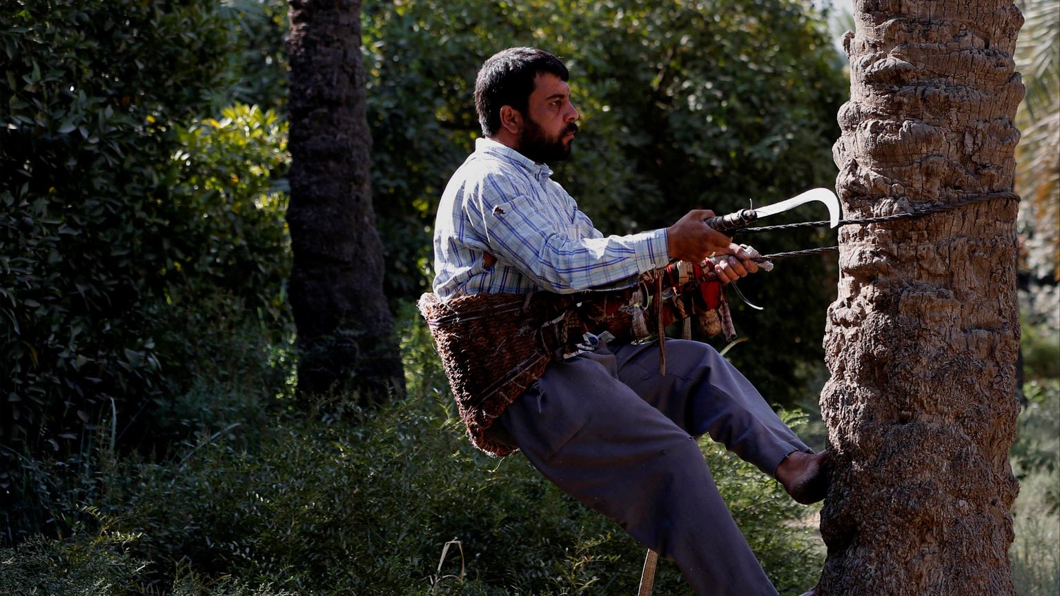 100 ألف نازح في العراق بسبب التغيرات المناخية