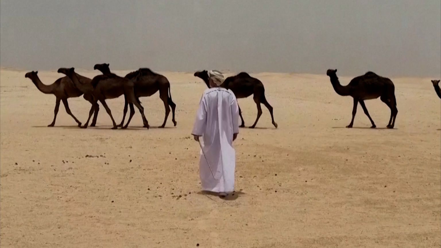 عالم آثار يكرس حياته لكشف أسرار "شصر"