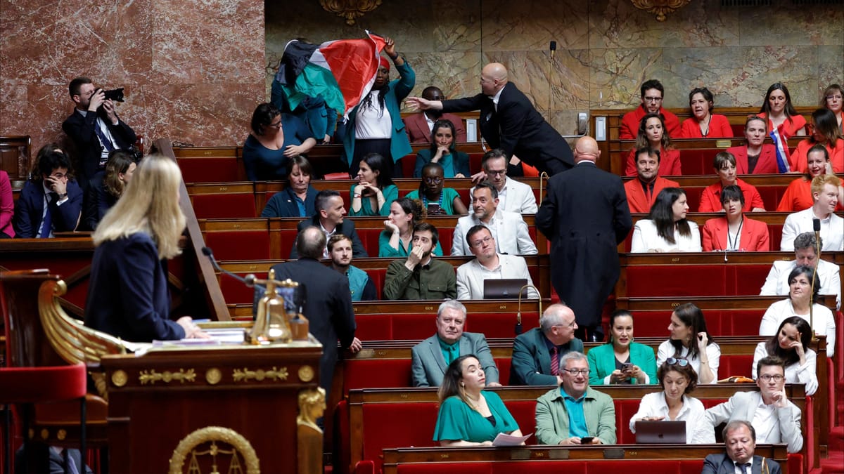 نائبة فرنسية ترفع العلم الفلسطيني داخل البرلمان