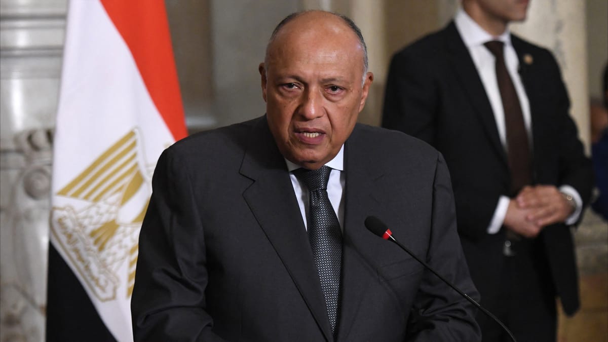 مصر تدعو لحماية أمن البحر الأحمر