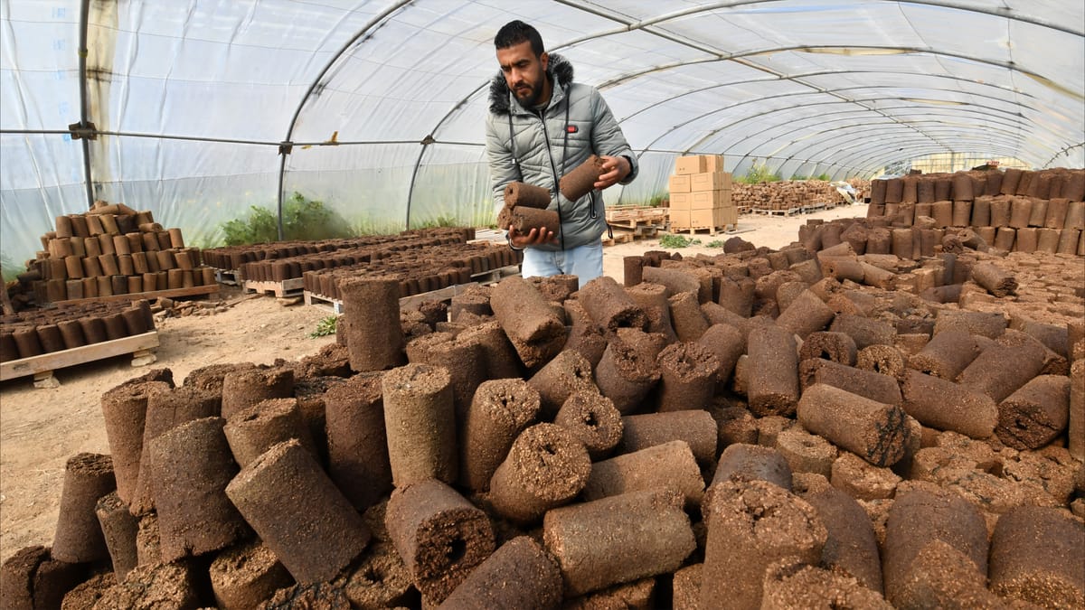 "الفيتورة".. طاقة نظيفة تُحدث ثورة في تونس