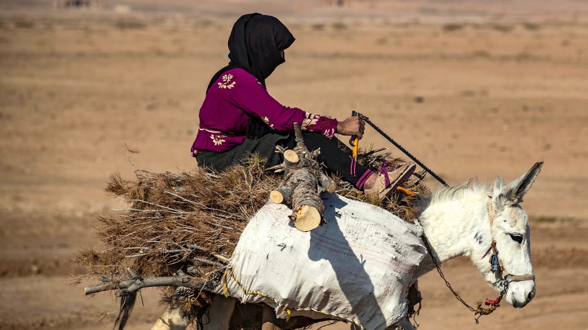 أرض قاحلة.. مناطق سورية تفقد "الغطاء الأخضر"
