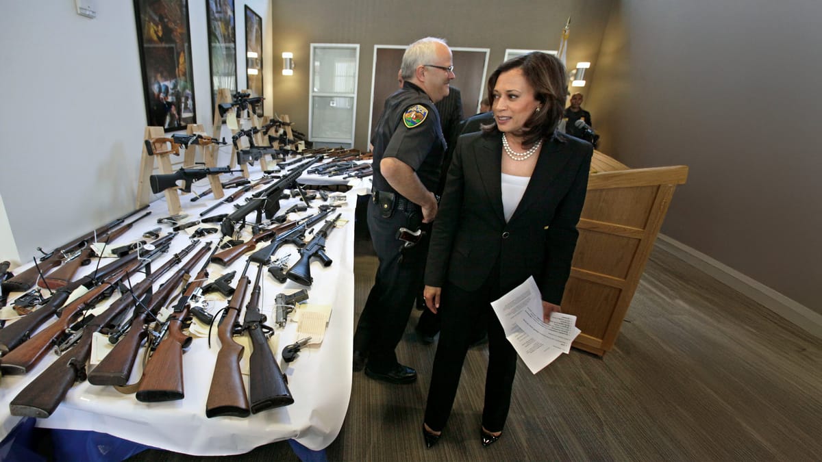 الديمقراطيون وقعوا في حب الأسلحة.. ما السبب؟