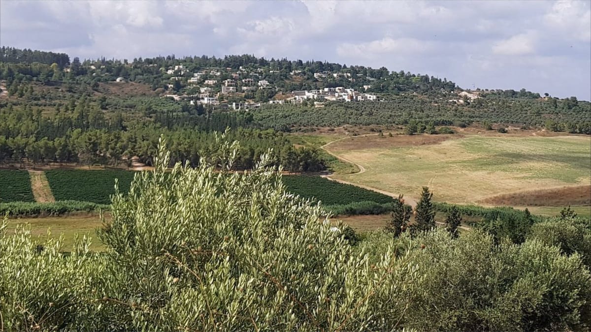 واحة السلام.. قرية عرب ويهود بين تل أبيب والقدس