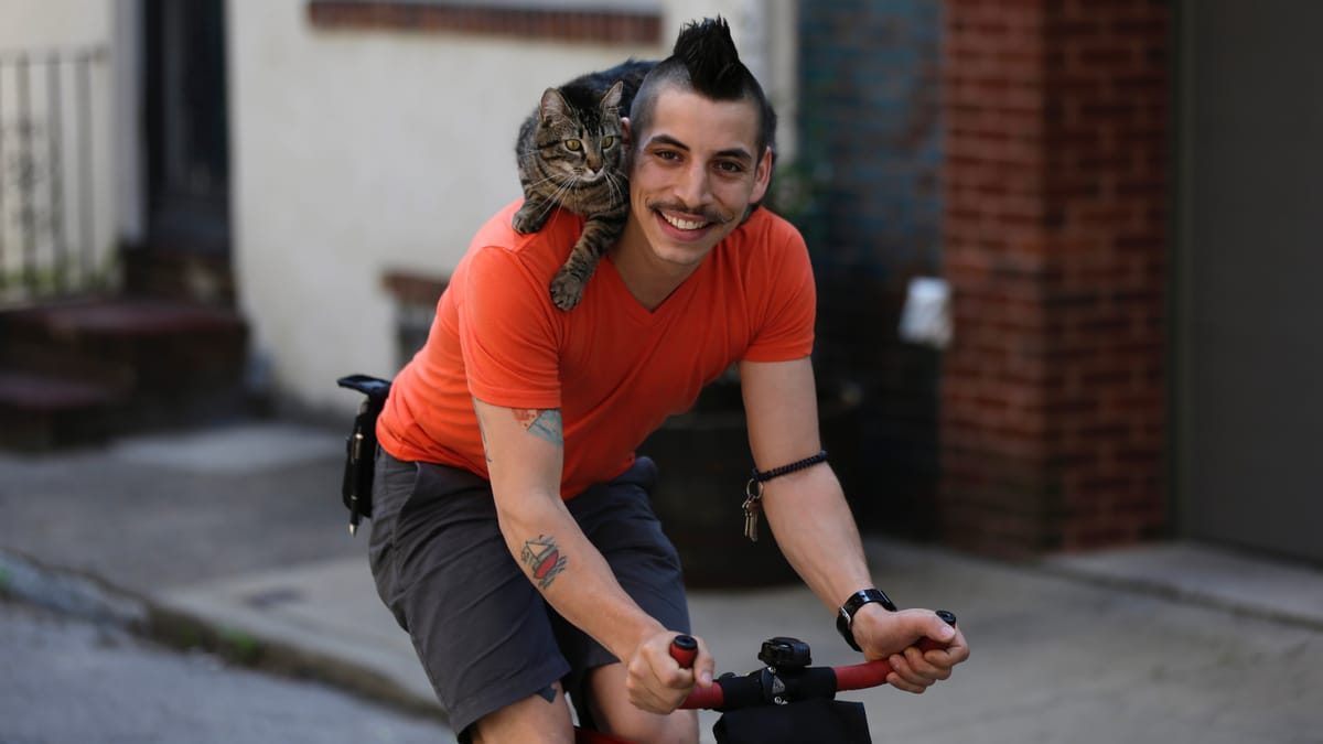 شرائح إلكترونية للقطط والكلاب في أوروبا