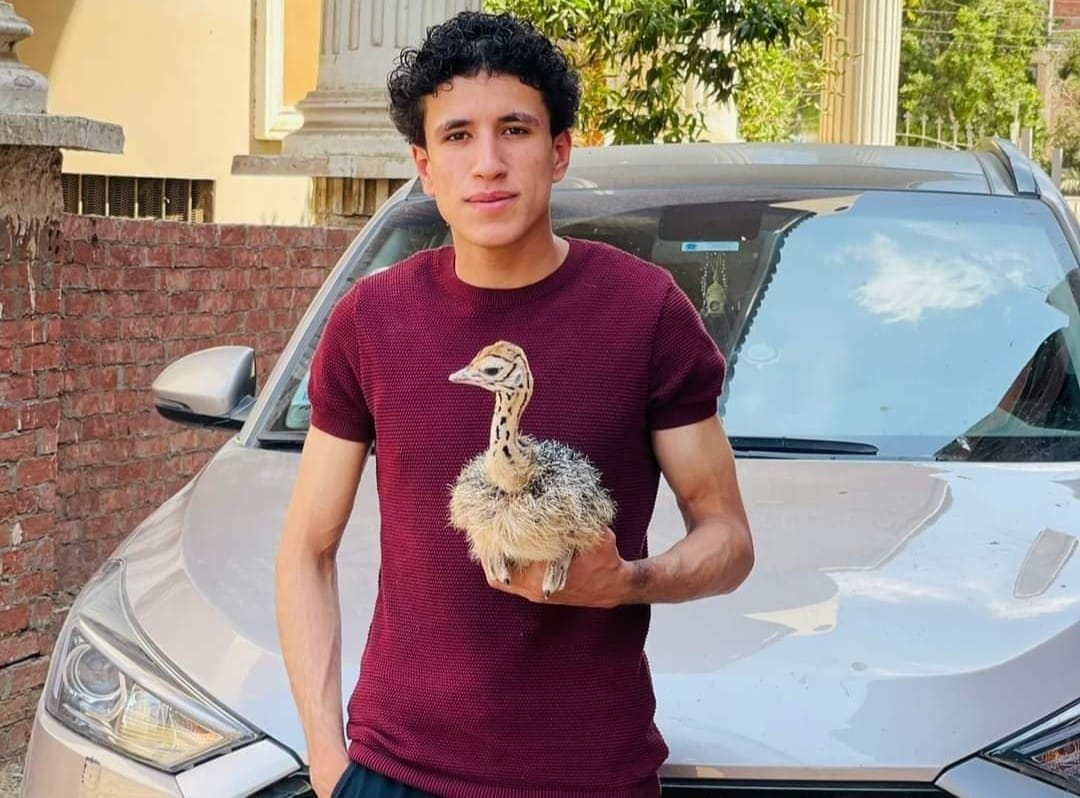 حادث مروع ينهي حياة أصغر مربي نعام في مصر