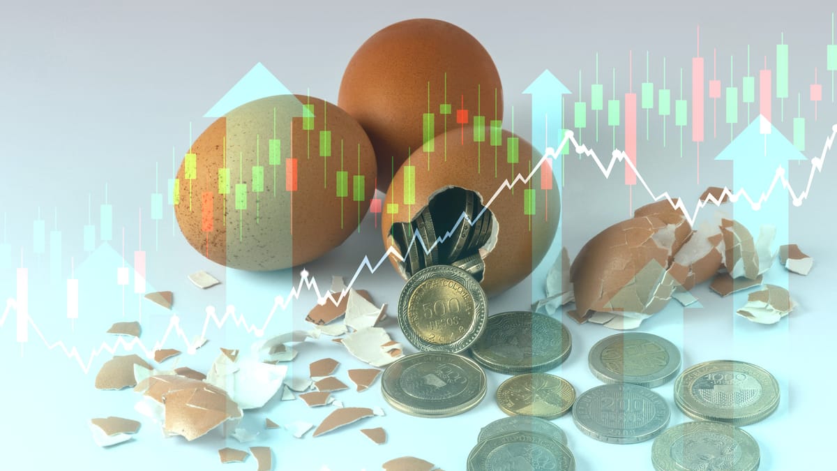 أين اختفى البيض؟ الحرب والوباء يحاصران بروتين الإفطار