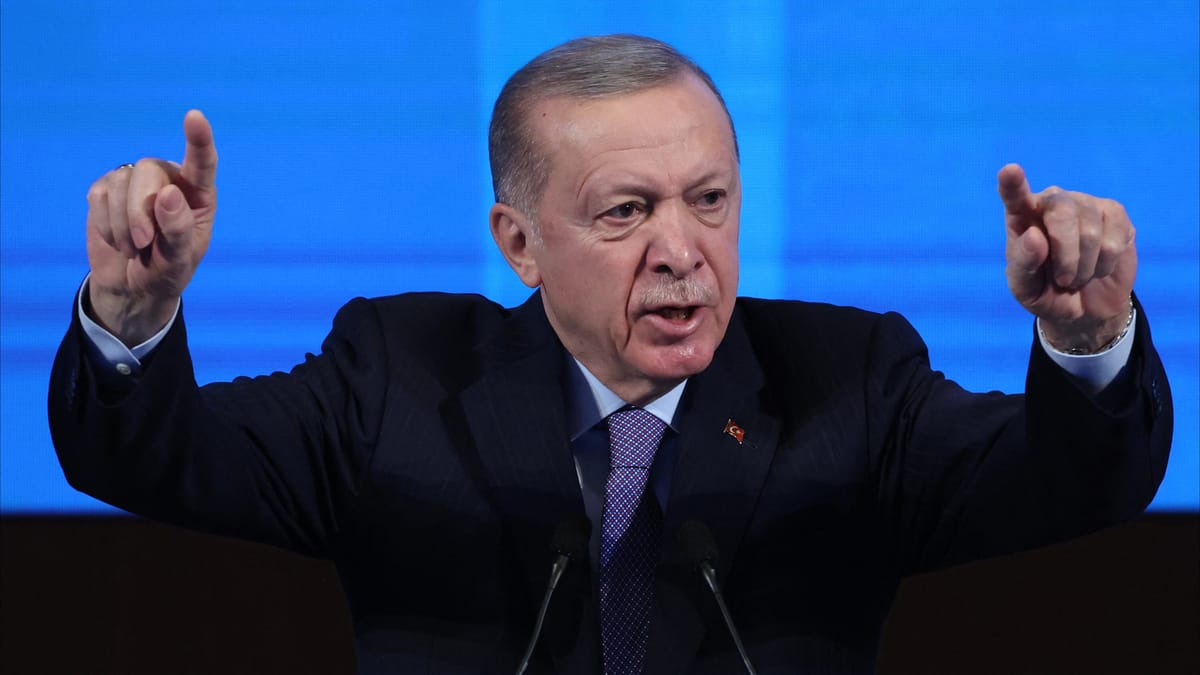 أردوغان يصل مصر في ١٤ فبراير