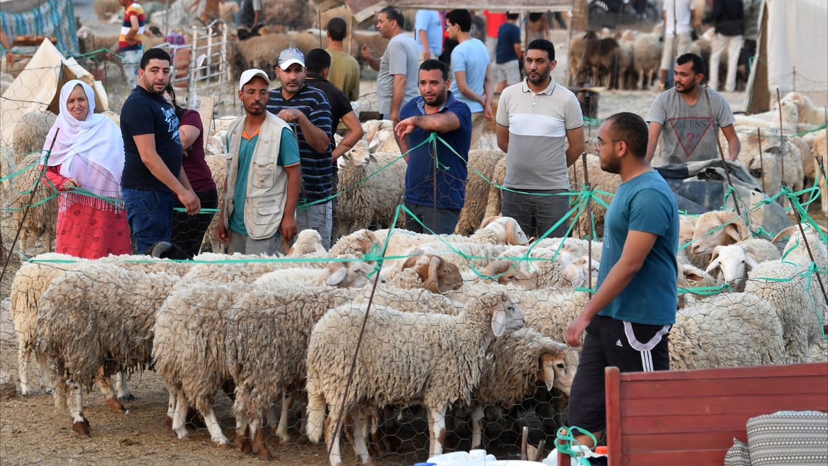 أسعار قياسية في تونس.. "سالم" يتخلى عن شراء الأضحية