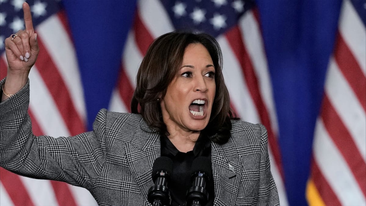 هل أصبحت غزة كابوسا يطارد هاريس؟