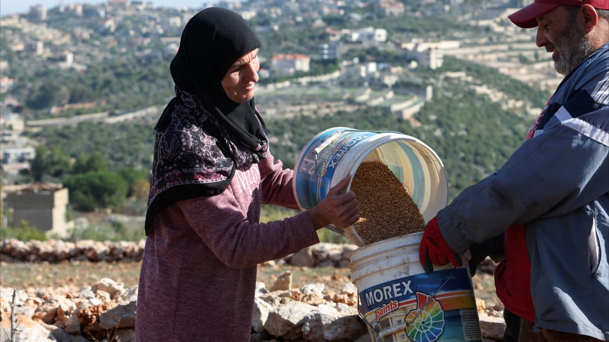 لبنان يستنسخ تجربة الأردن في تخزين القمح