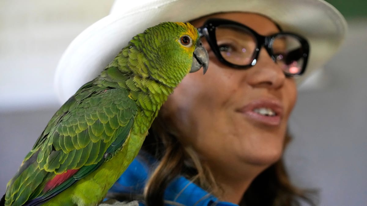 ليس ذكاء.. العلم يكشف حقيقة "لغة الببغاوات"