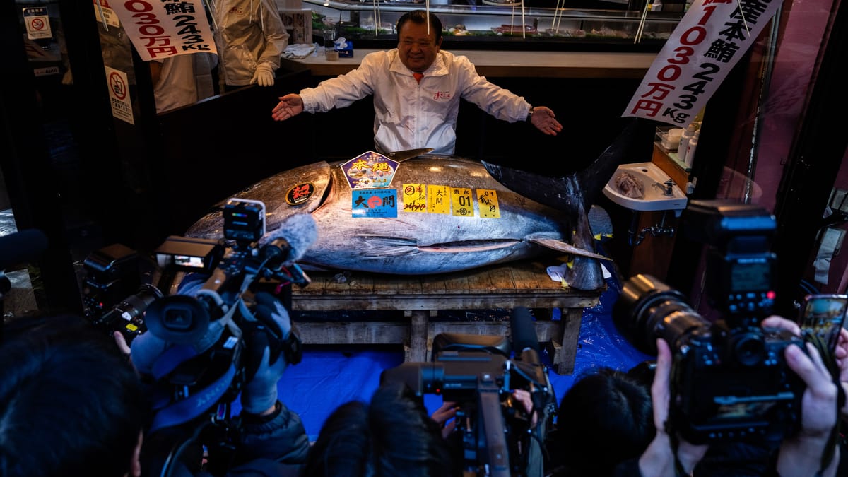 "ملك السوشي" يصطاد أغلى سمكة تونة في العالم