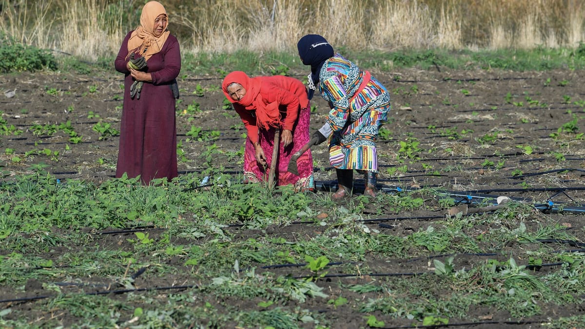 فلّاحات تونس يواجهن أزمة فرنانة بـ"البودكاست والمساعدات"