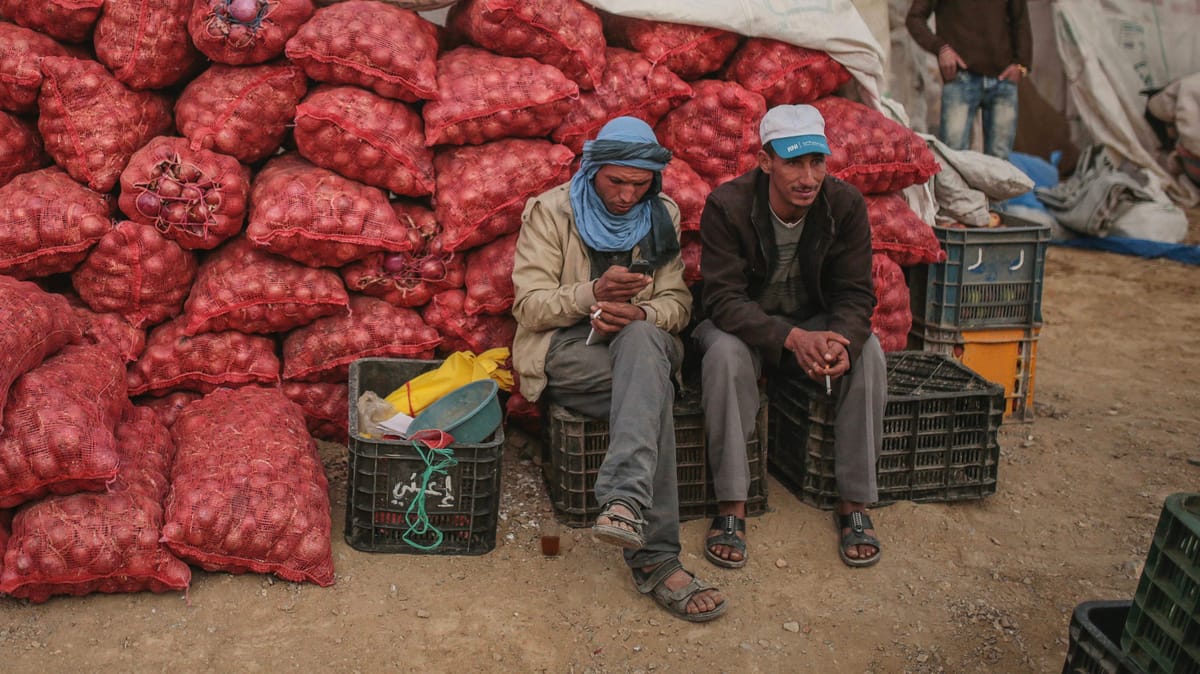 لهيب أسعار البصل يهدد الأطباق الأفريقية