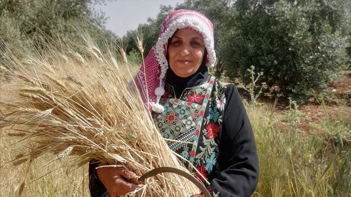 هكذا تستخرج فريال الأردنية "الذهب الأخضر" من الأرض