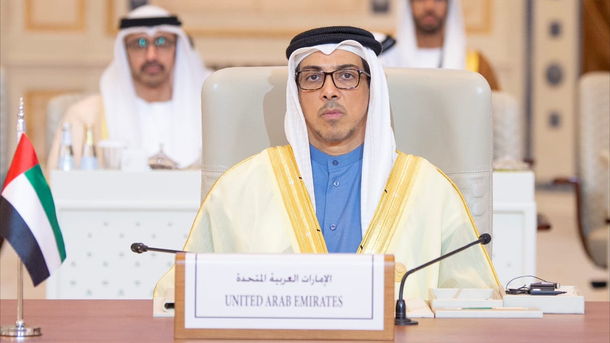نائب رئيس الإمارات: ندعم التحركات الدبلوماسية لحماية المدنيين في غزة