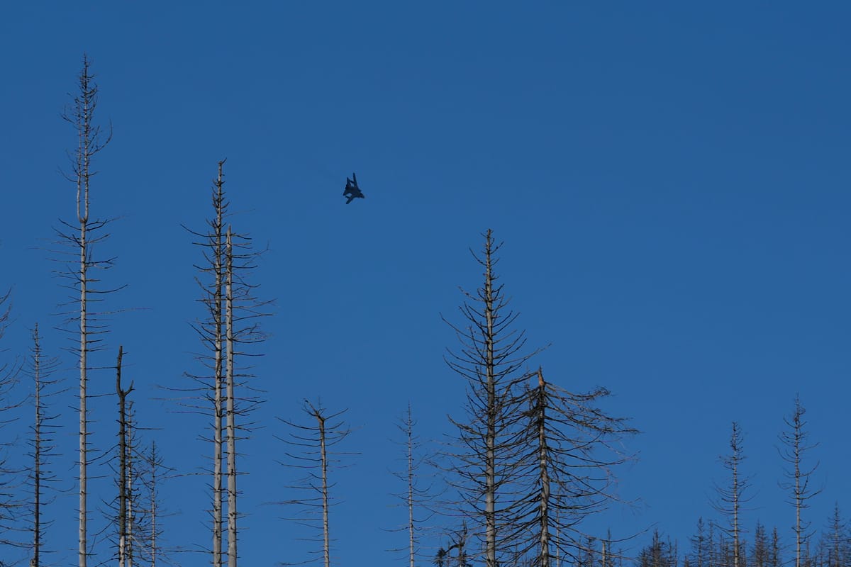 الجيش الألماني يستعد لامتلاك "درونز الضربة البعيدة"