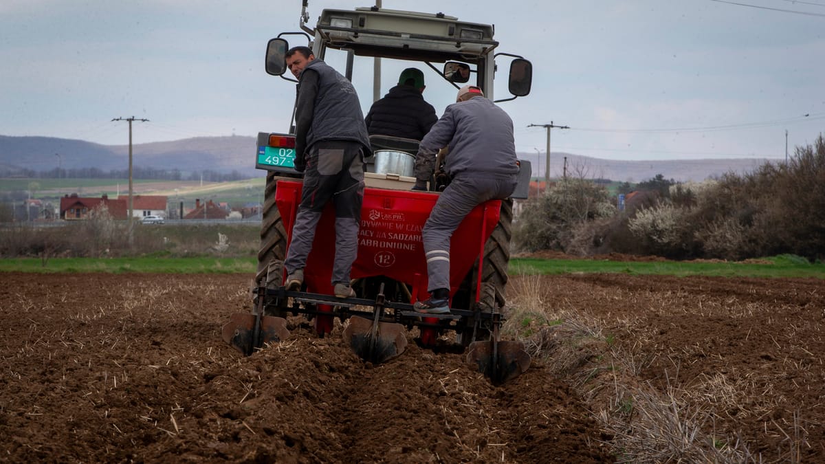 الحرب تصل إلي المائدة.. ارتفاع أسعار الغذاء عالميا للشهر الثاني