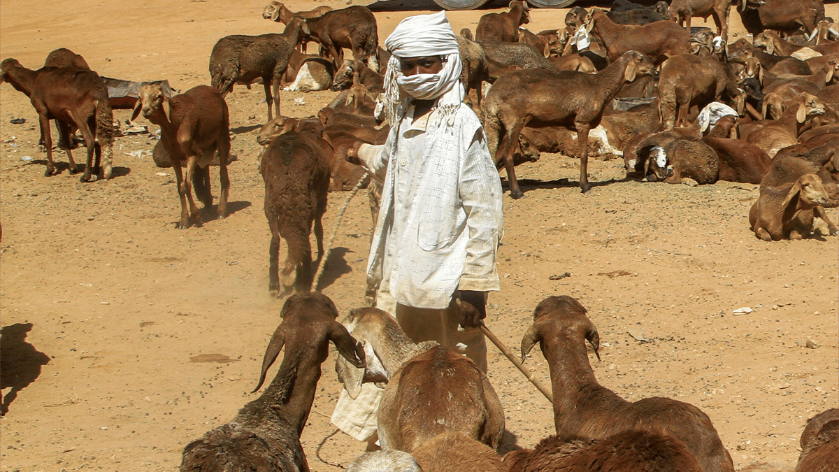 اتهامات للجيش في السودان بتنفيذ غارات أوقعت ضحايا مدنيين في نيالا