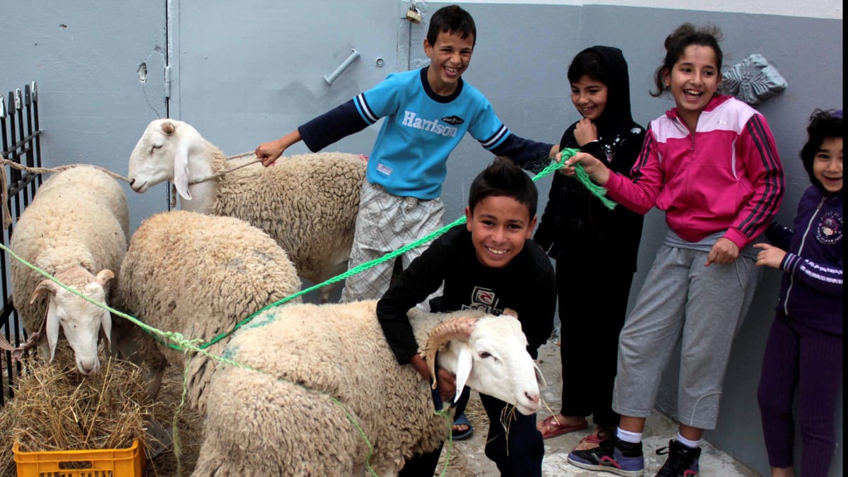 "تخضيب الدم".. عادات جزائرية "غريبة" في العيد