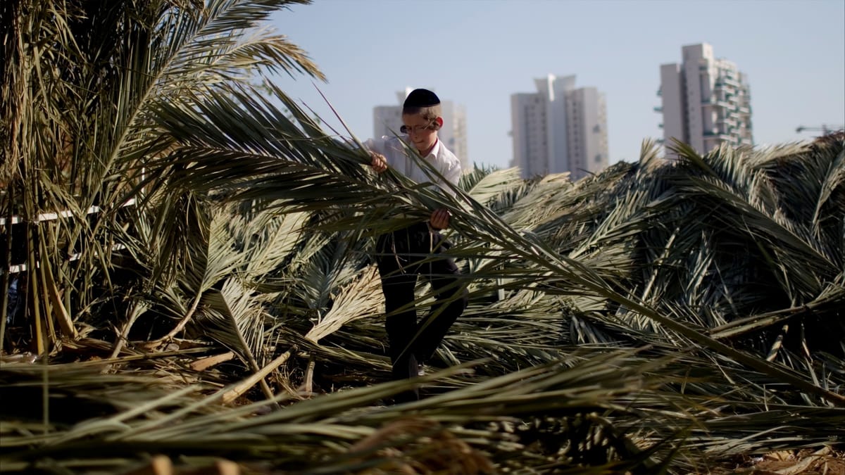 "لعبة أرقام" في الاستيلاء على أراضي الضفة