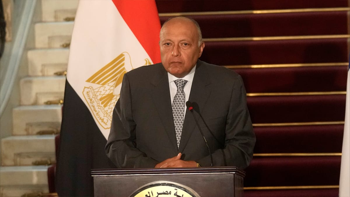مصر تدعم دعوى جنوب أفريقيا ضد إسرائيل